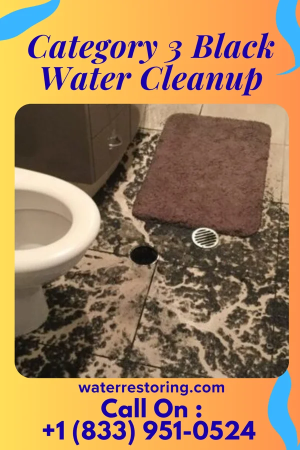 Category 3 Black Water Cleanup in McDermott, OH