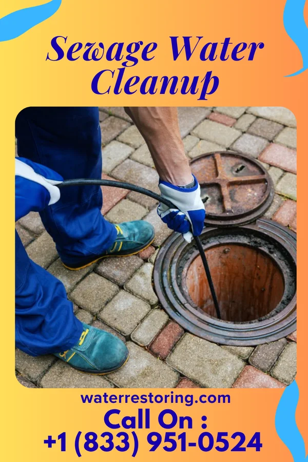 Sewage Water Cleanup in McDermott, OH